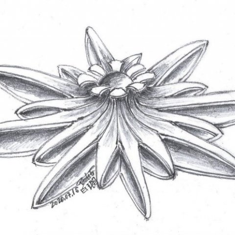 Shining Star pendant - Sketch